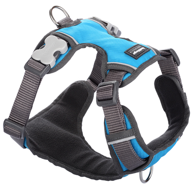 Red Dingo Turquoise Padded Harness