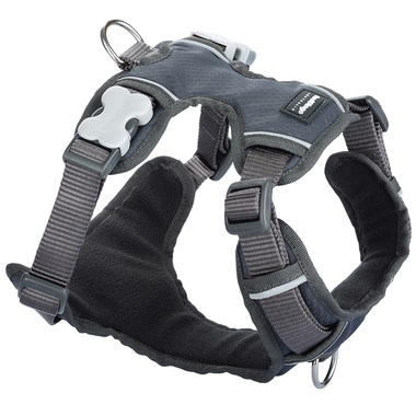 Red Dingo Grey Padded Harness
