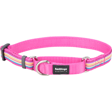 Red Dingo Horizontal Hot Pink Stripe Martingale Dog Collar