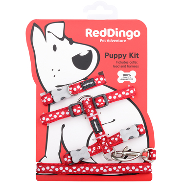 Red Dingo White Spots on Red Puppy Pack (Collar, Lead & Harness)