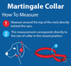 Martingale how to measure